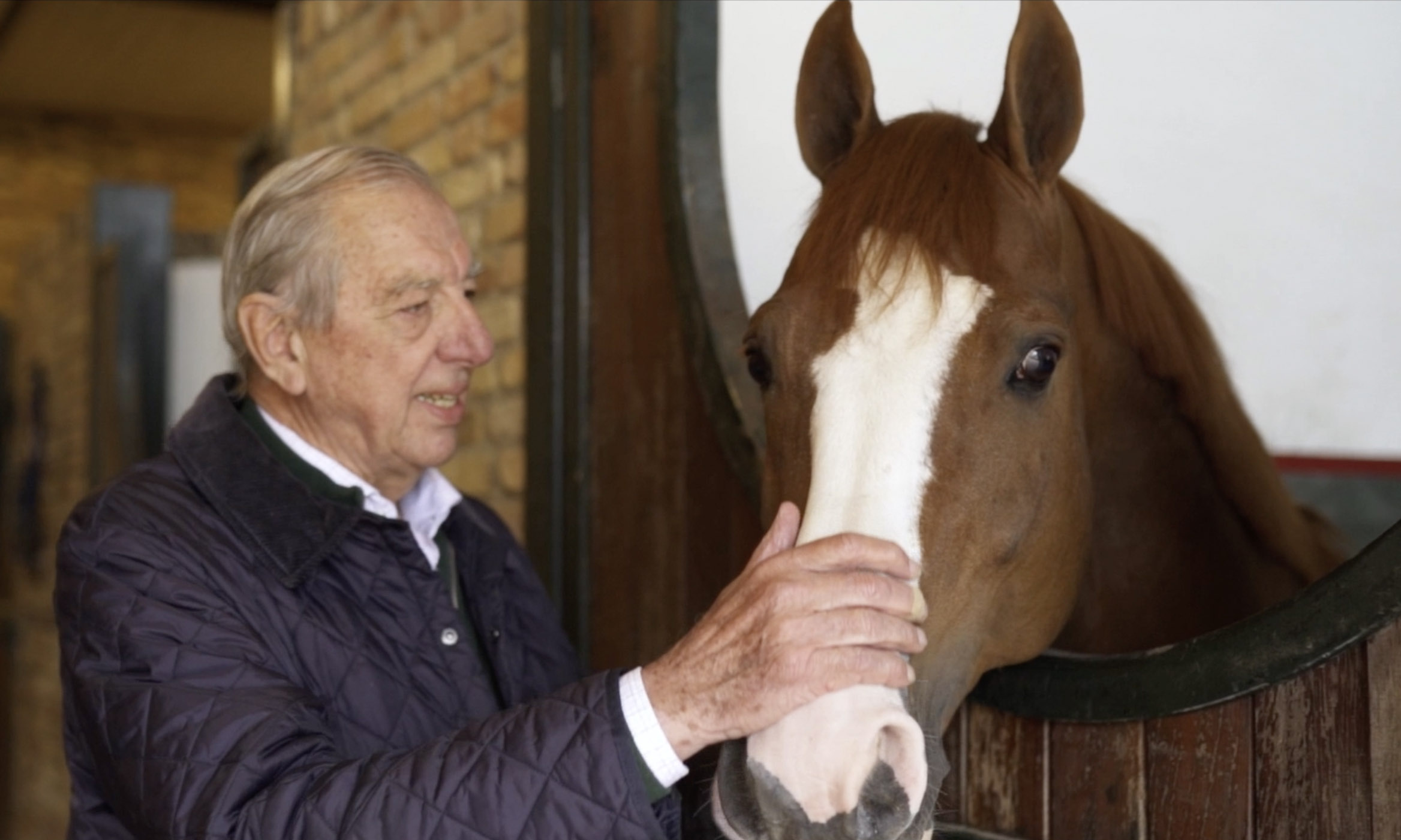 DOCUMENTAIRE King of the Stable - Lord Sandro​ Cmedia